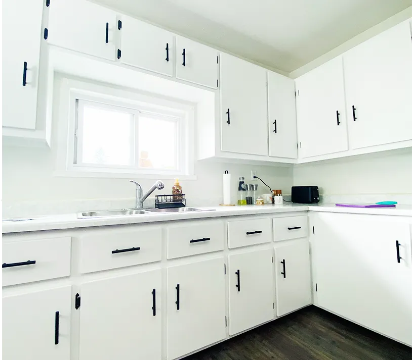 Photo montrant une cuisine rénovée par Elegance Cabinet